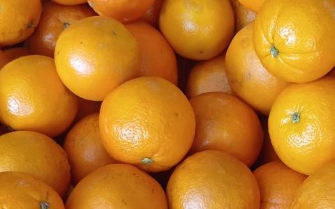تصویر 3 از پرتقال شهسواری درجه یک دستچین شده