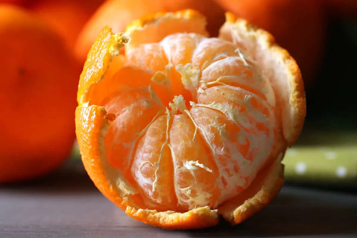 تصویر 4 از نارنگی فله برداشت تازه و آماده با بسته‌ بندی سفارشی