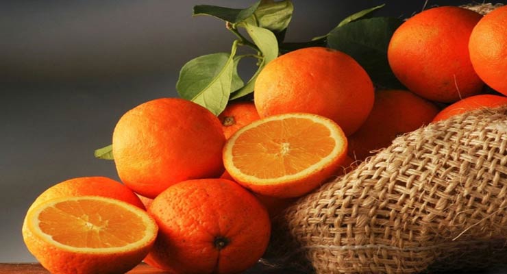 پرتقال آبگیری جنوب با برداشت تازه و کیفیت بی نظیر
