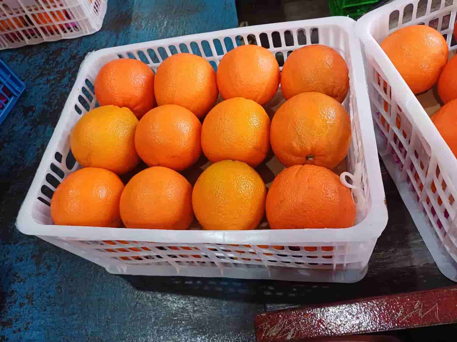 تصویر 3 از پرتقال کوهستانی با برداشت تازه از باغ‌ های ارتفاعات