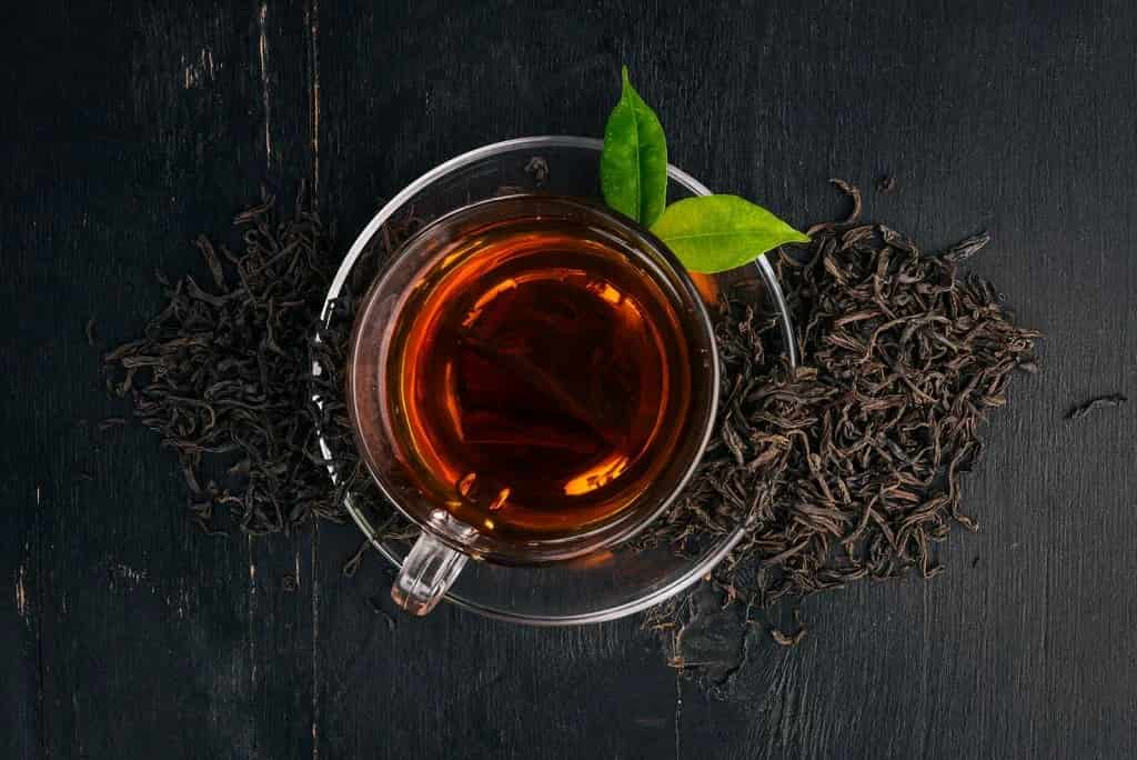 تصویر 4 از چای سیاه کله مورچه ای سوفیا مناسب دوستداران چای پررنگ