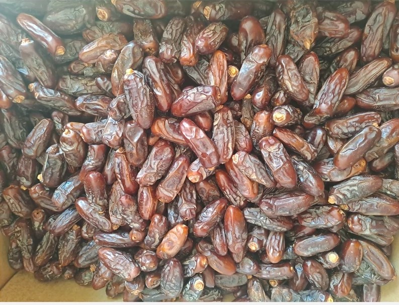 تصویر 2 از خرما ربی سیستان اعلا تازه 1 کیلویی