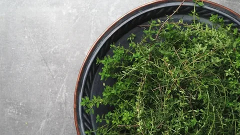تصویر 3 از گل آویشن والایار مناسب ترکیب با گیاهان معطر