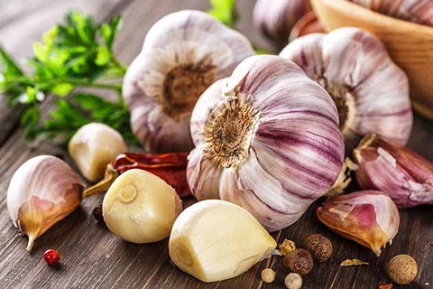 سیر کوهی خرم آباد طعم ملایم و ساختار نرم