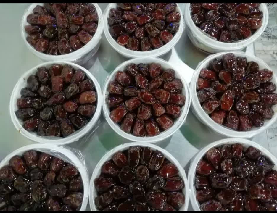خرما کبکاب شیره دار با ارزش اقتصادی بالا