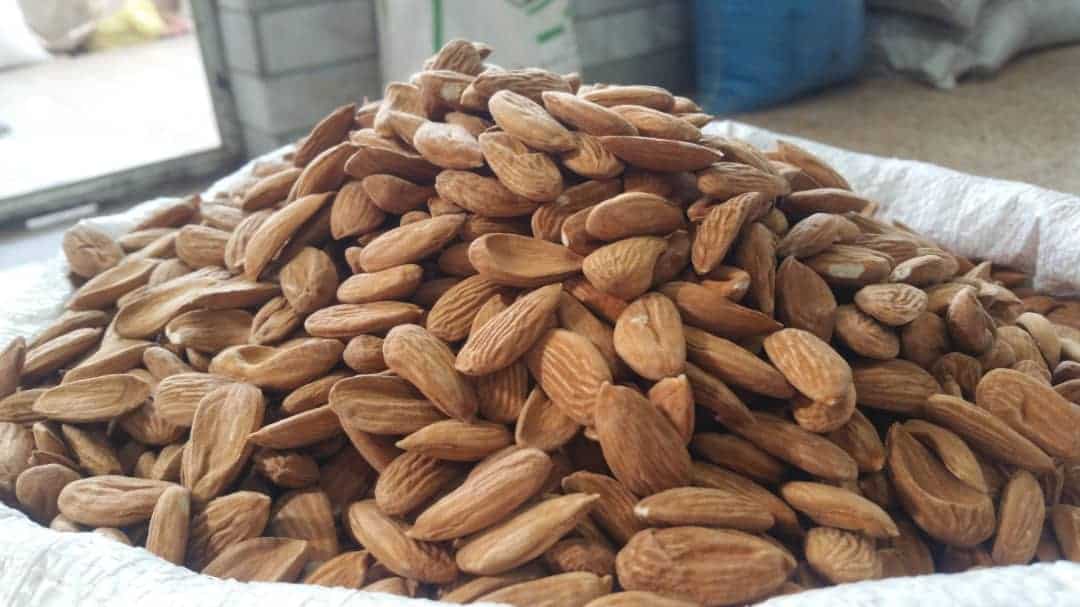 تصویر 2 از بادام درختی صادراتی با ارزش غذایی عالی