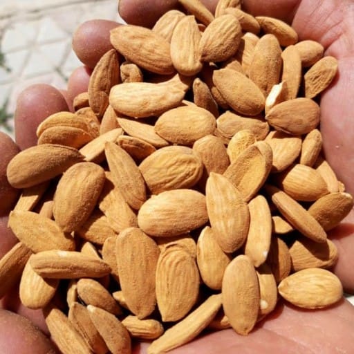 تصویر 1 از بادام درختی صادراتی با ارزش غذایی عالی