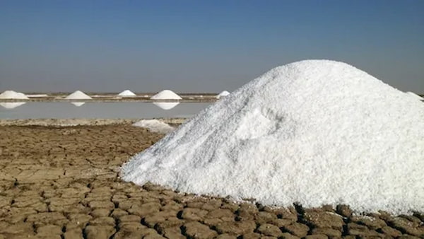 تصویر 1 از نمک خوراکی فله با ارزش اقتصادی بالا