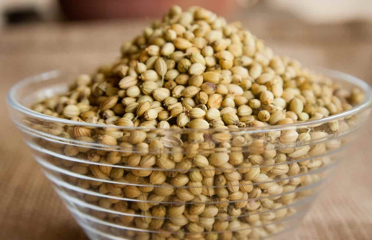 تصویر 3 از تخم گشنیز صحرایی مناسب استفاده در انواع ترشی و شور