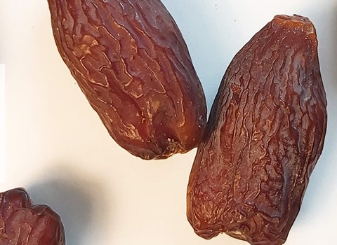 تصویر 3 از خرمای مجول داراب