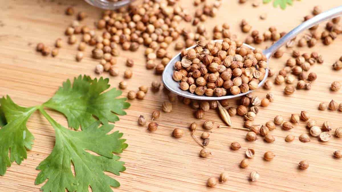 تصویر 4 از تخم گشنیز هلندی دارای خواص طبیعی و مفید