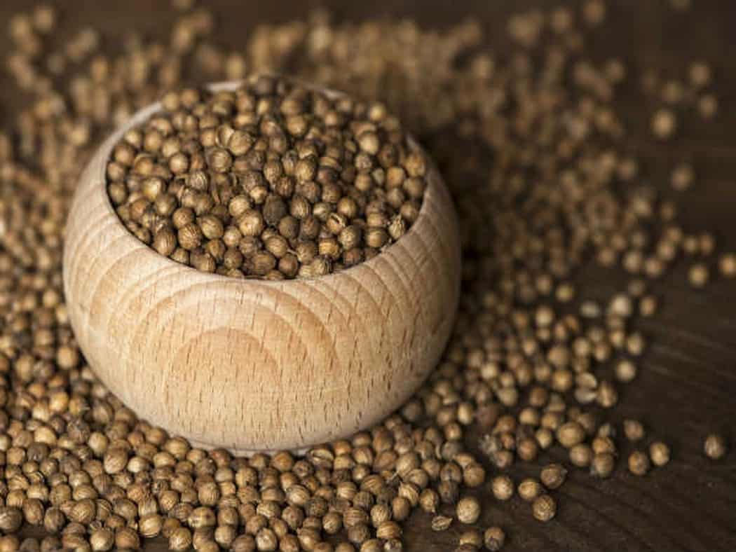 تصویر 1 از تخم گشنیز مشهد با دانه‌ های یکدست و سالم