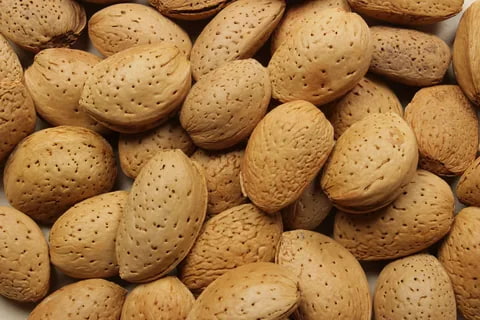 تصویر 1 از بادام درختی شاهرودی ارگانیک و فاقد مواد افزودنی
