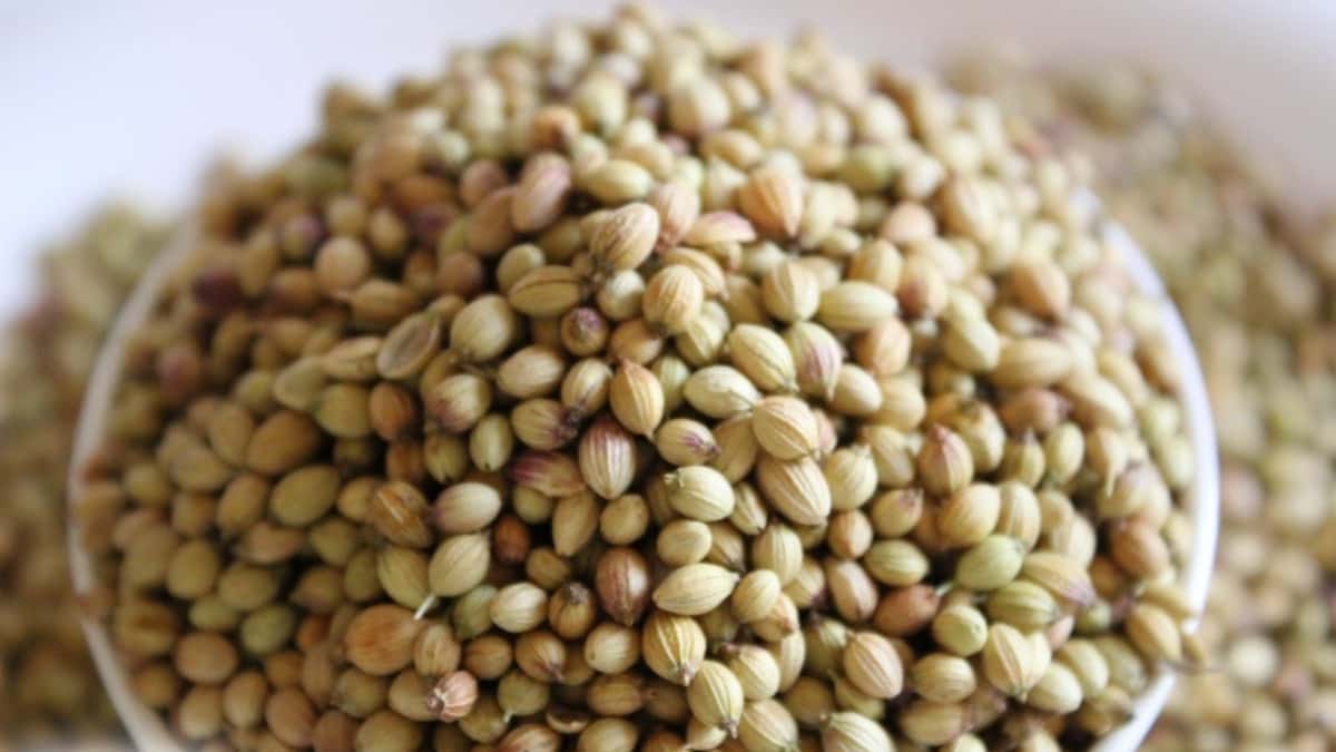تصویر 4 از تخم گشنیز خشک شده استفاده در آشپزی ایرانی