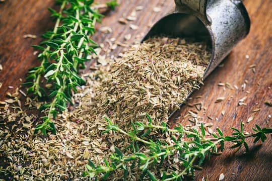 آویشن سبز مناسب مصرف تازه و خشک کردن دستی