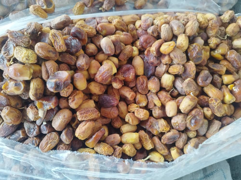 تصویر 3 از فروش خرما ضایعاتی در تهران