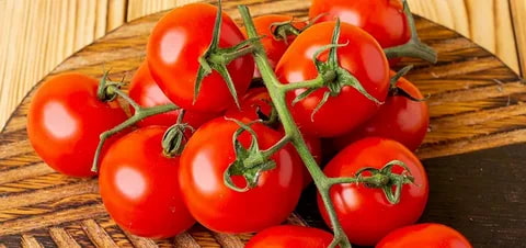 گوجه‌ فرنگی تازه و آبدار با کیفیت عالی و طعم طبیعی