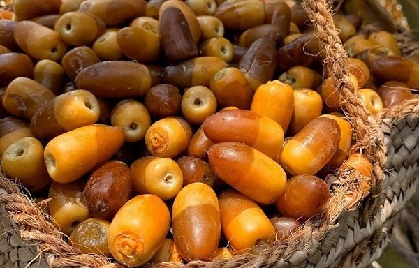 تصویر 4 از قیمت خرما زاهدی درجه یک تازه و خوش‌ رنگ