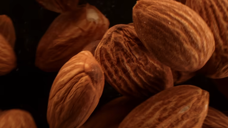 تصویر 1 از بادام درختی کهنه اقتصادی مناسب صنایع غذایی و تولید روغن بادام