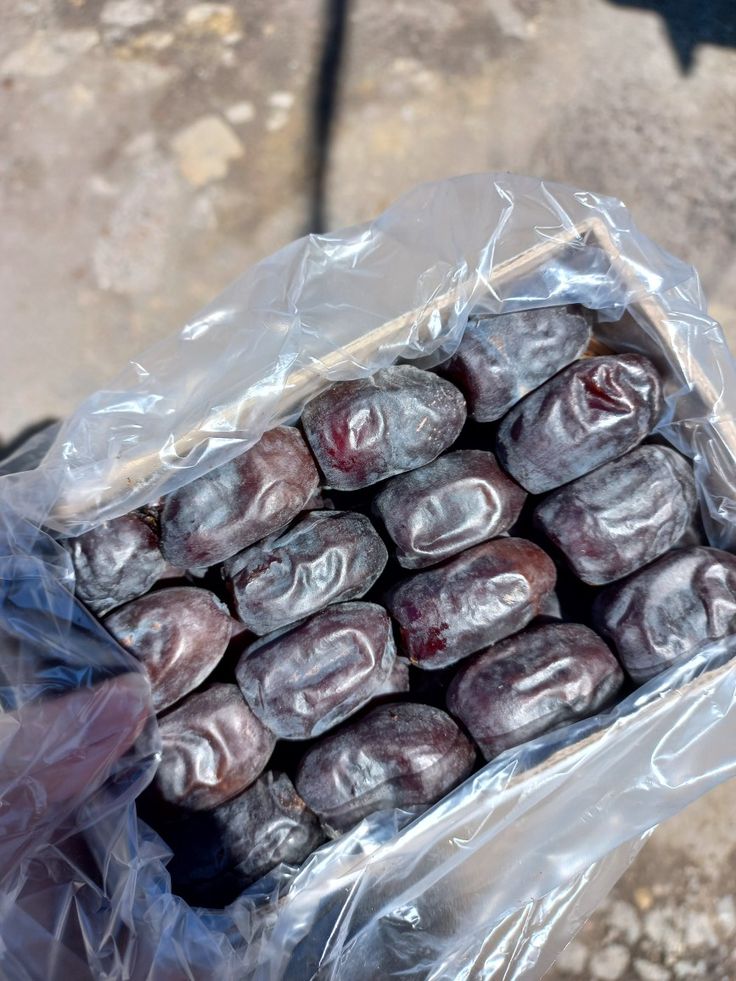 خرما مضافتی ساده کیفیت ثابت محصول