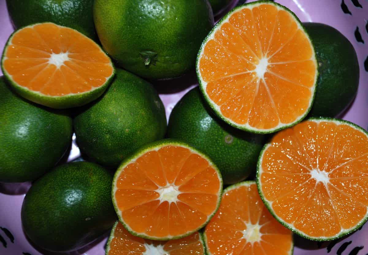 تصویر 3 از نارنگی مجلسی مناسب سفره‌ آرایی و تزئینات میوه‌ ای
