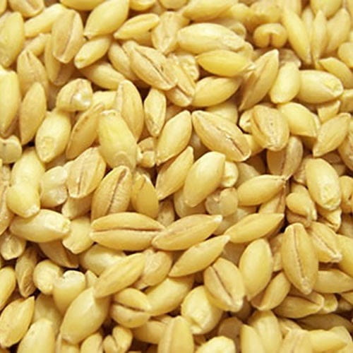 خرید جو پرک