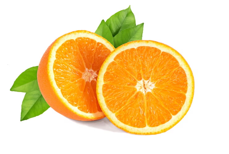 تصویر 2 از پرتقال یافا با سایز یکنواخت برای بسته‌ بندی و عرضه