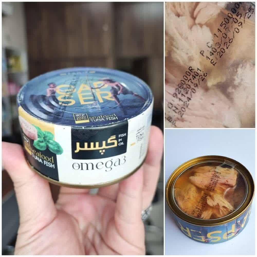 فروش عمده کنسرو تن ماهی گپسر