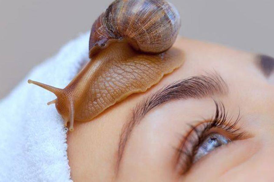 کرم جوانسازی حلزون حاوی عناصر مغذی و آنتی اکسیدان