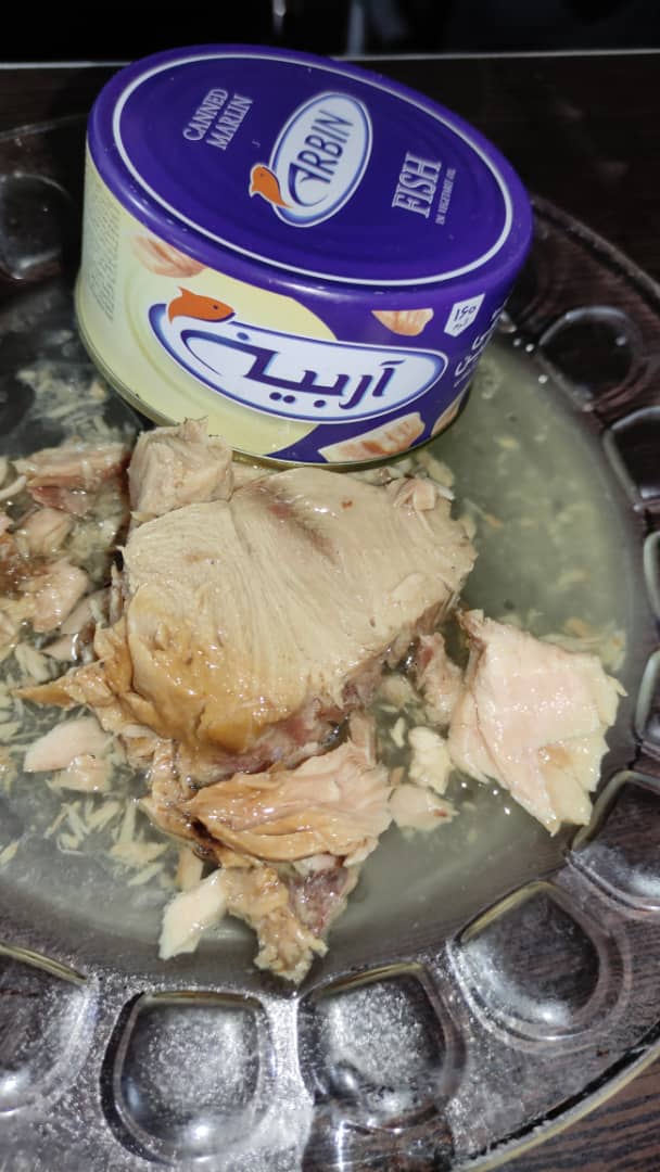 فروش عمده کنسرو تن ماهی آروین