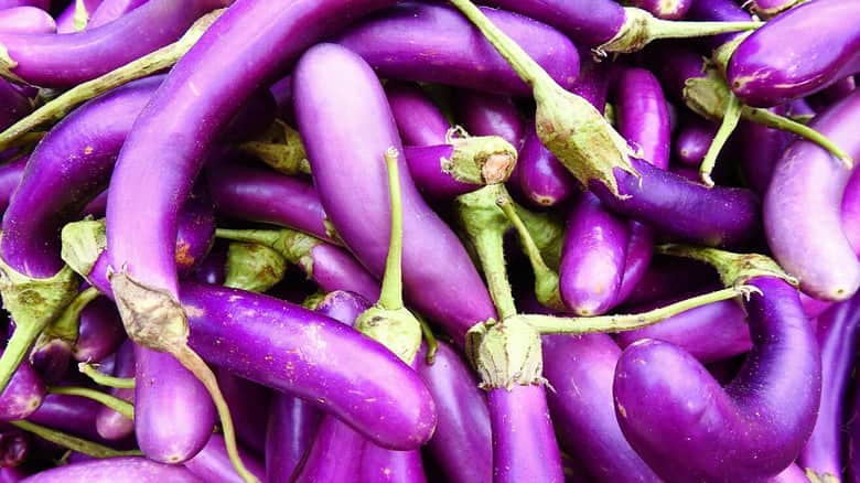 قیمت بادمجان ترشی