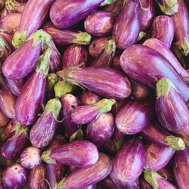 تصویر 4 از بادمجان ترشی خوش‌ رنگ با طعم ماندگار و خاص