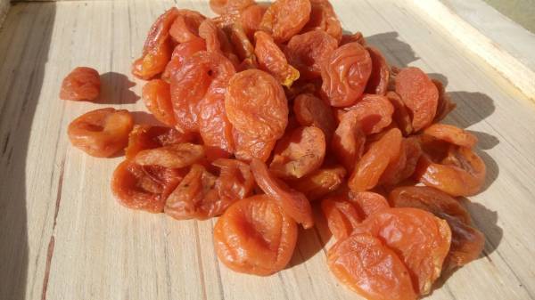 تصویر 1 از آلو بخارا تازه شادابی و تازگی بالا مستقیم از باغ