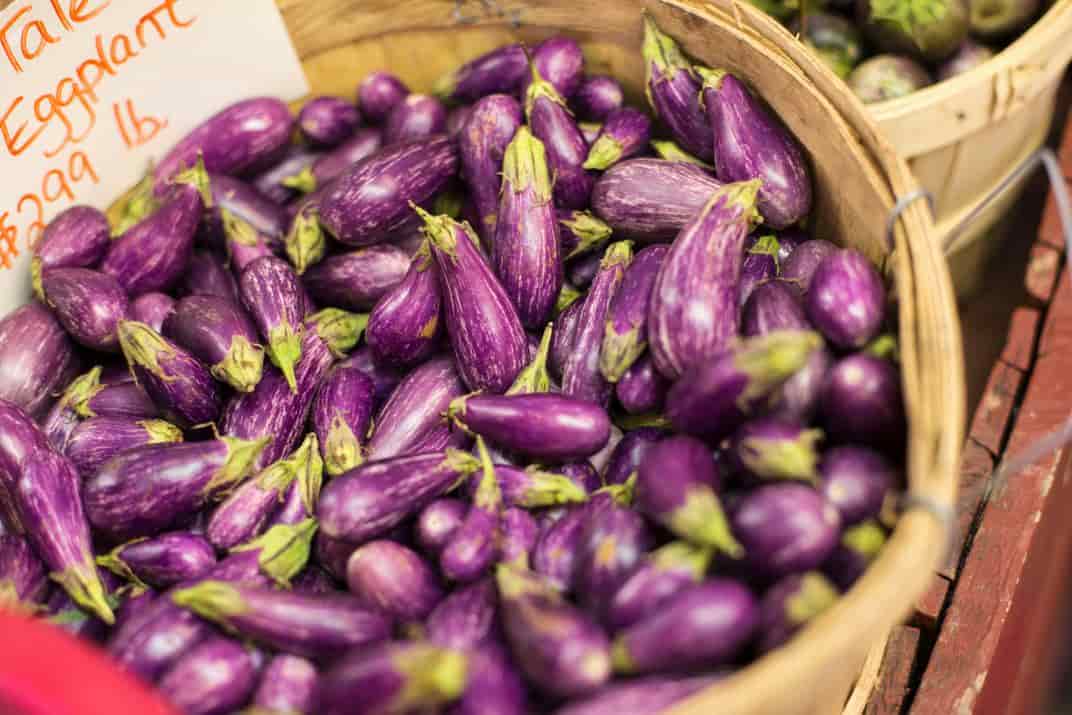تصویر 3 از بادمجان ریز تازه برداشت شده از مزارع محلی