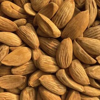 تصویر 4 از بادام شاهرودی خوش‌ طعم و تازه مناسب میان‌ وعده سالم
