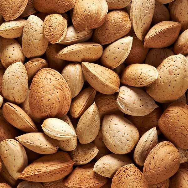 تصویر 4 از بادام درختی با پوست با طعم ملایم و طبیعی با شرایط فوق العاده
