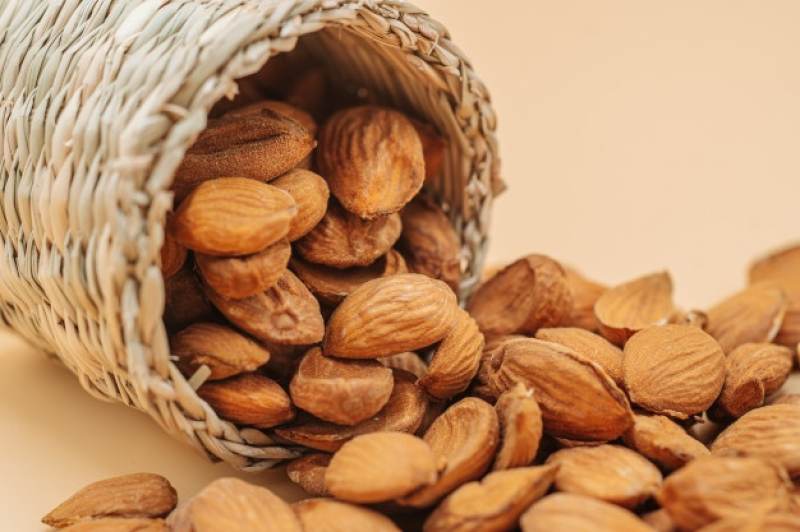مغز بادام مامایی بدون تلخی و کاملاً طبیعی