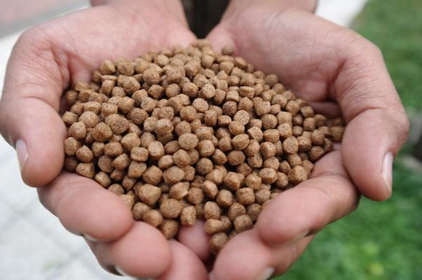 غذای ماهی اسکار مخصوص گونه‌های گوشت‌خوار