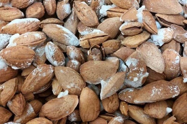 بادام درختی پوست نازک طبیعی با ارزش غذایی بالا