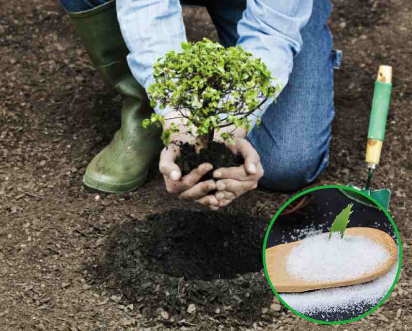 خاک ژله ای ۱۰ کیلویی برای نگهداری رطوبت در خاک های کم آب