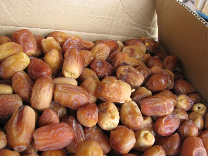 خرما زاهدی تامین استان فارس قیرکارزین تناژ نامحدود