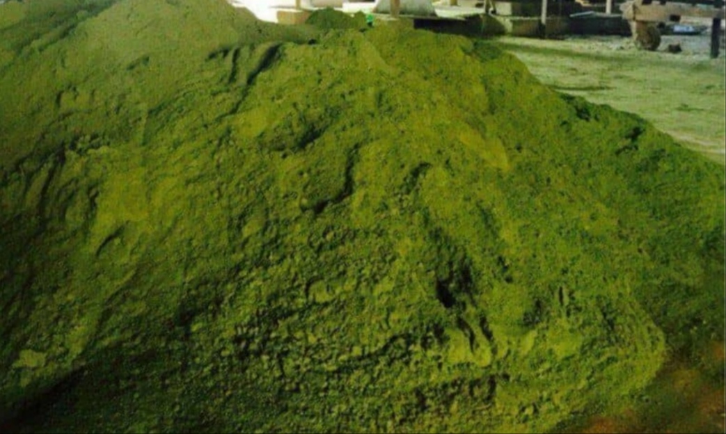حنا طبیعی