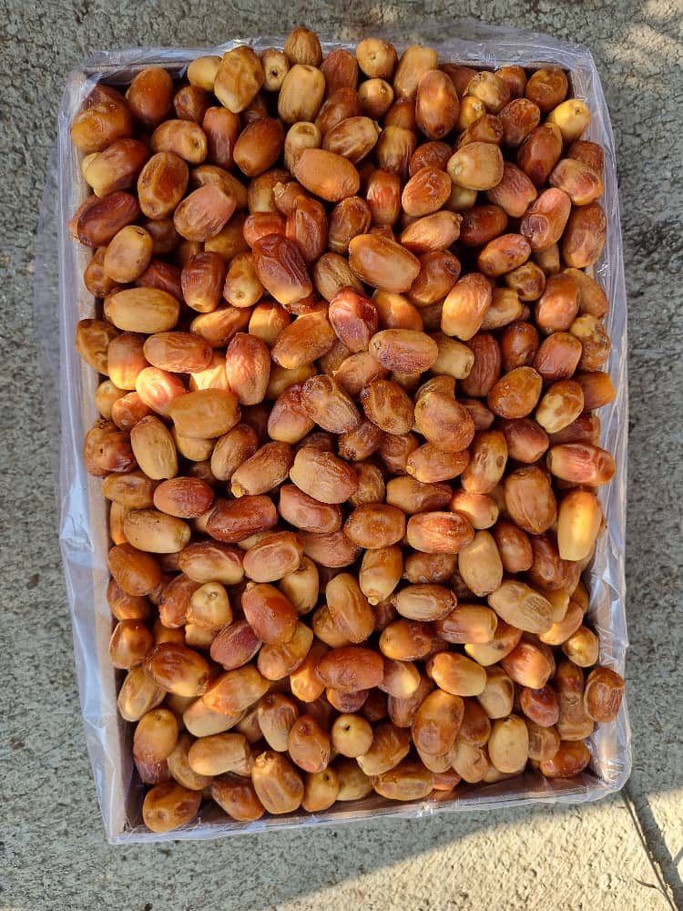 تصویر 2 از خرما قصب بهترین کیفیت داخلی صادراتی قیمت مناسب