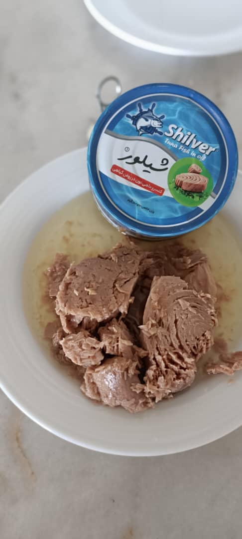 فروش عمده کنسرو تن ماهی شیلور