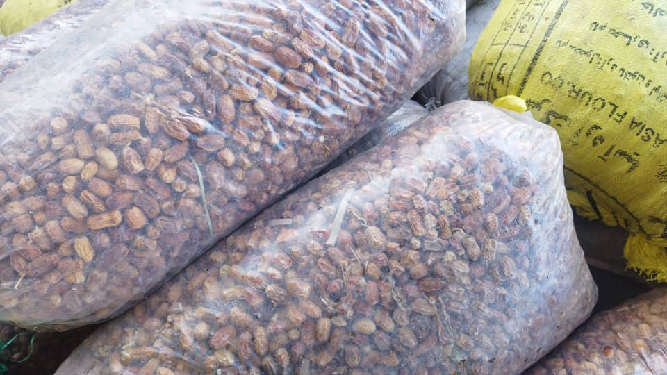 تصویر 4 از خرید ضایعات خرما برای تولید شیره خرما + مستقیم از باغدار با قیمت مناسب