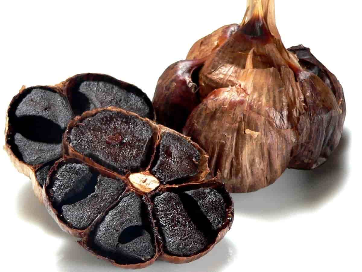 تصویر 1 از سیر سیاه غنچه فرآوری شده برای استفاده آسان و سریع