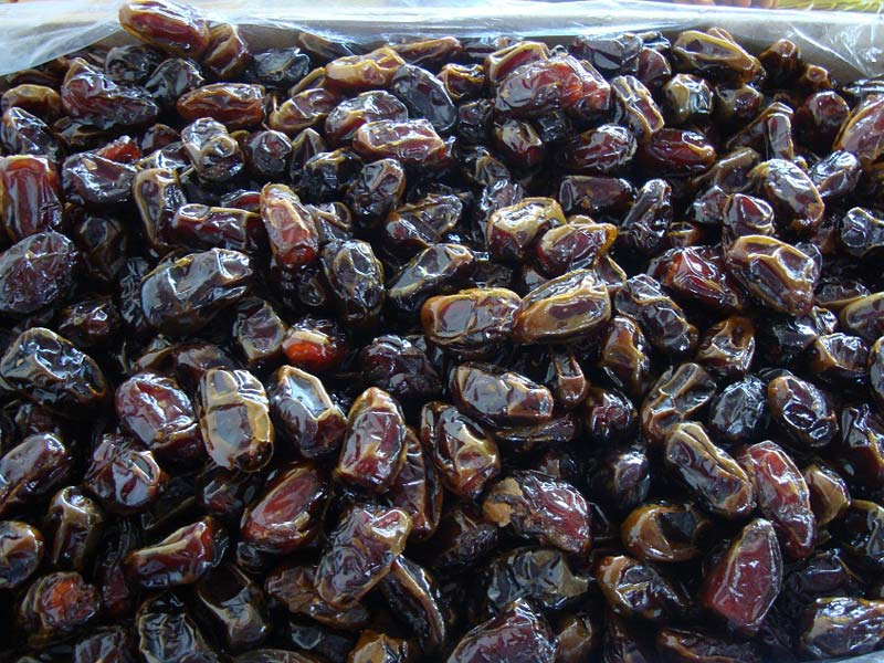 تصویر 2 از خرما کبکاب تازه چین برداشت شده در شهریور