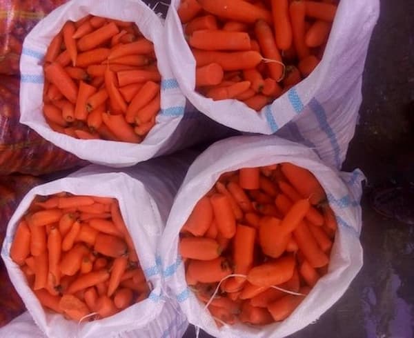 تصویر 3 از گونی هویج ساده و کاربردی برای بسته بندی