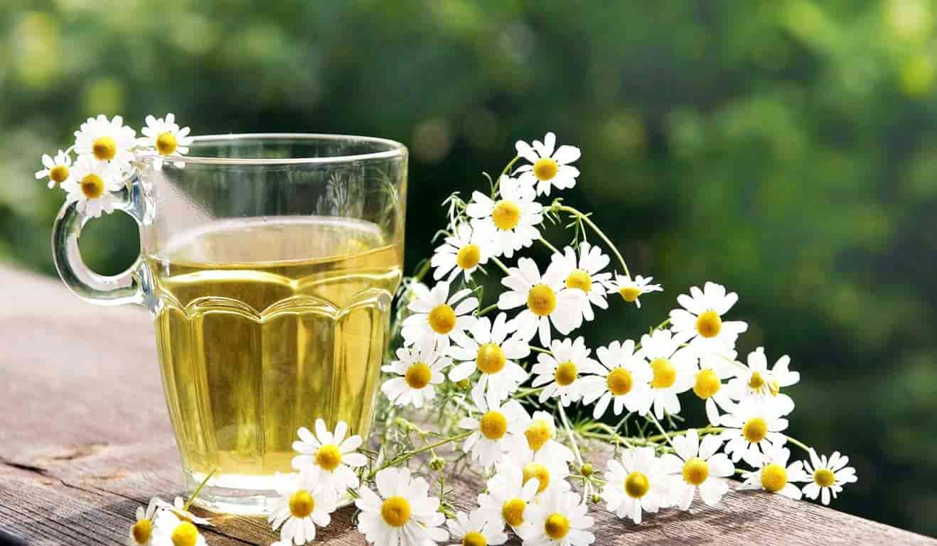بابونه چای سبز آرامبخش گیاهی طبیعی