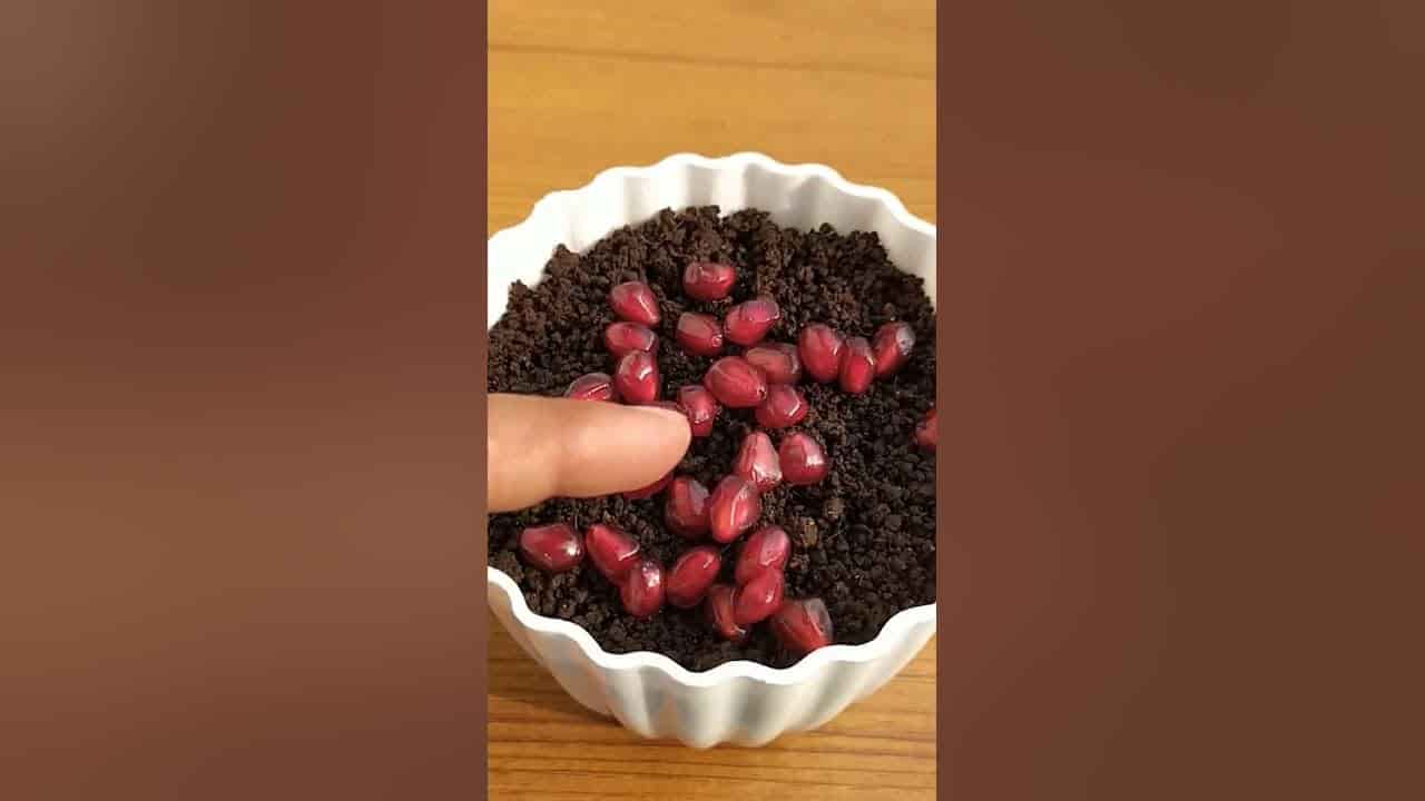 قیمت لواشک